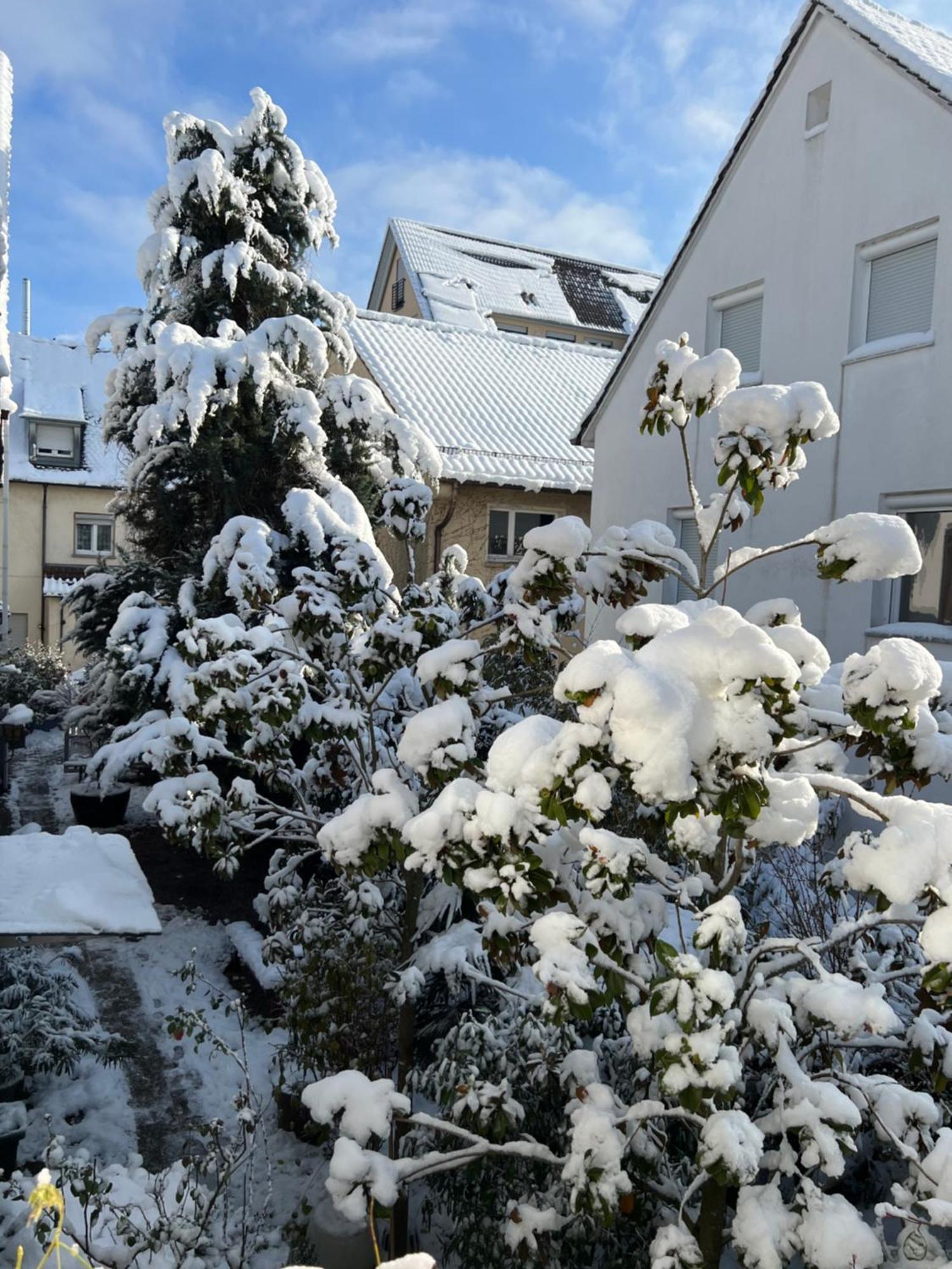 Haus Pia Executive Apartments Friedrichshafen Exterior photo